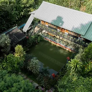 Brook Streak Wayanad Farm stay Meppadi
